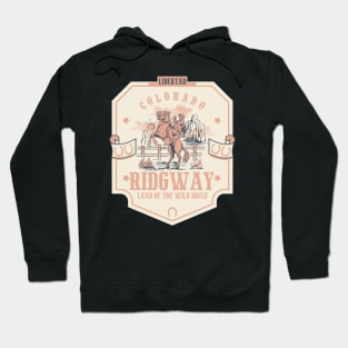 Ridgway Colorado wild west town Hoodie